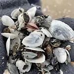 Seeschloesschen 3*